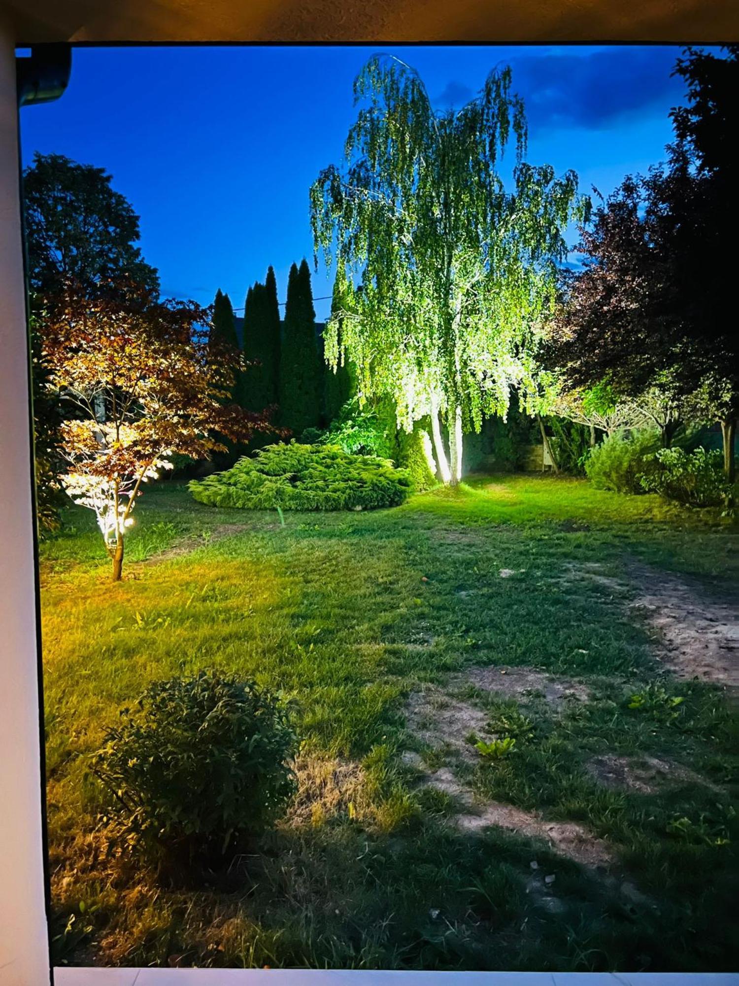 Evie'S Tree House Villa Dragomirna Exterior photo